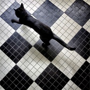 Fall of the House of Usher