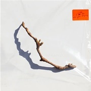 I Inside the Old Year Dying - PJ Harvey