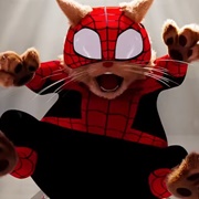 Spider Cat