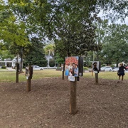 The Covington Film Garden