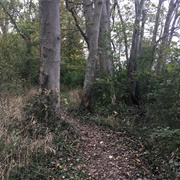 Crooked Run State Nature Preserve