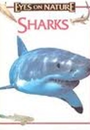 All About Sharks! (Jane Parker Resnick)