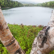 Great Egg Harbor River