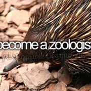 Become a Zoologist