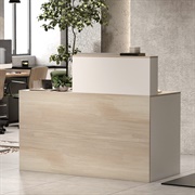 Reception Desk
