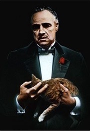 The Godfather Franchise (1972) - (1990)