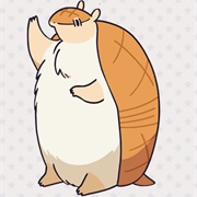 John (The Vampire Dies in No Time)