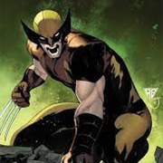 3rd Member - Wolverine