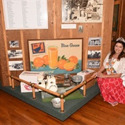 Indian River Citrus Museum