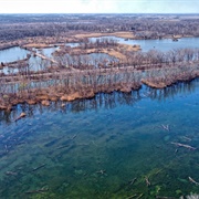 Joseph Steinen Wildlife Area
