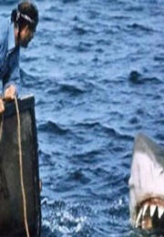 'Jaws', Best Original Score (1976)