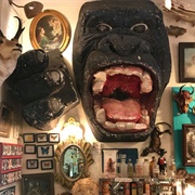 Woolly Mammoth Antiques and Oddities