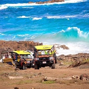 Island Ultimate Jeep Safari in Aruba
