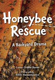 Honeybee Rescue: A Backyard Drama (Loree Griffin Burns)