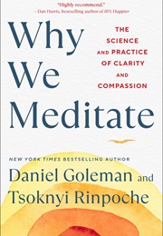 Why We Meditate (Daniel Goleman)