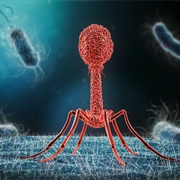 Virus Talk With Josh and Chuck