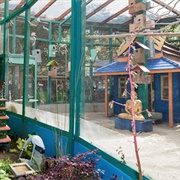 Pandemonium Aviaries