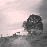 Susie Suh & Robot Koch - Here With Me