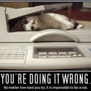 You're Doing It Wrong