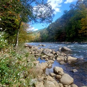Wolf Den Run State Park, Maryland