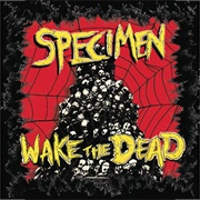 Specimen- Wake the Dead