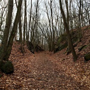 Whittemore Glen State Park