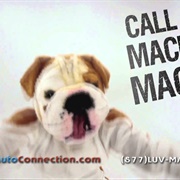 Call MacK MacK If Your Credit Is Wack Wack