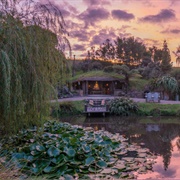Underhill Valley, Canopy Camping, Waikato, NZ