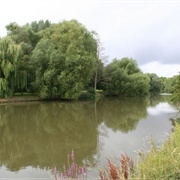 Sutton Pools