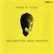 Self-Inflicted Aerial Nostalgia (Guided by Voices, 1989)
