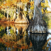 Chicot State Park