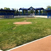 Infield at the Zoo