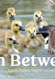 In Between (April Pulley Sayre)