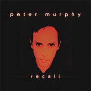 Peter Murphy - Recall