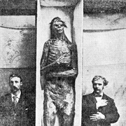 San Diego Giant 8 Ft 4