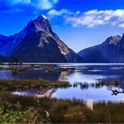 Milford Sounds