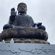 The Buddha of 101