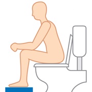 If You Flushed the Toilet While Sitting Down, You&#39;d Get Sticked in It