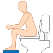 If You Flushed the Toilet While Sitting Down, You'd Get Sticked in It
