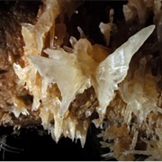 Crystalline Butterflies