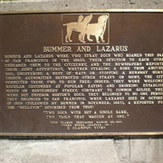 Plaque to Bummer & Lazarus