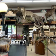 Grabill Country Sales