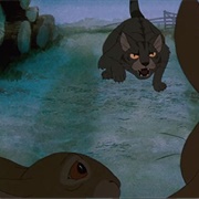 Tab (Watership Down)