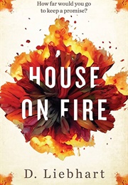 House on Fire (D. Liebhart)