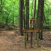 El Camino Real De Los Tejas National Historic Trail