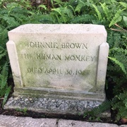 Johnnie Brown's Grave