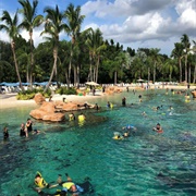 Discovery Cove, Orlando