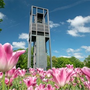 Netherlands Carillon, Arlington
