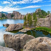 Custer State Park - South Dakota