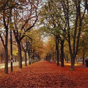 Read the Poem "October" by Robert Frost Aloud